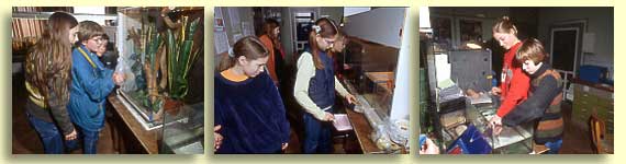 Sch&uuml;ler bei der Tierpflege 1