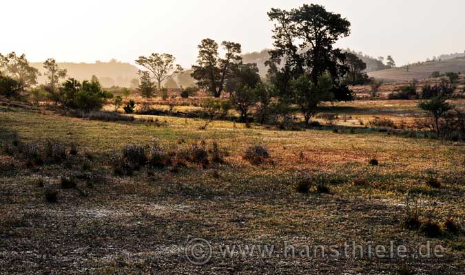 Flinders Ranges
