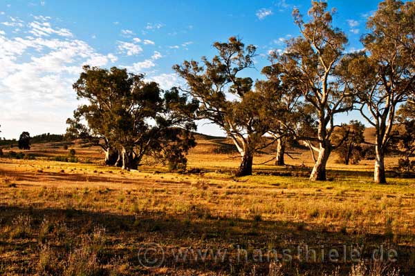 Flinders Ranges