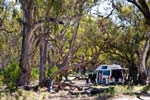 Hattah-Kulkyne NP: Camp unter uralten River gums