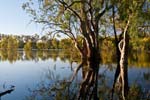 ein mit Wasser gef&uuml;llter See im Hattah-Kulkyne NP 