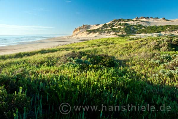 Strand im Wilsons Promotory NP