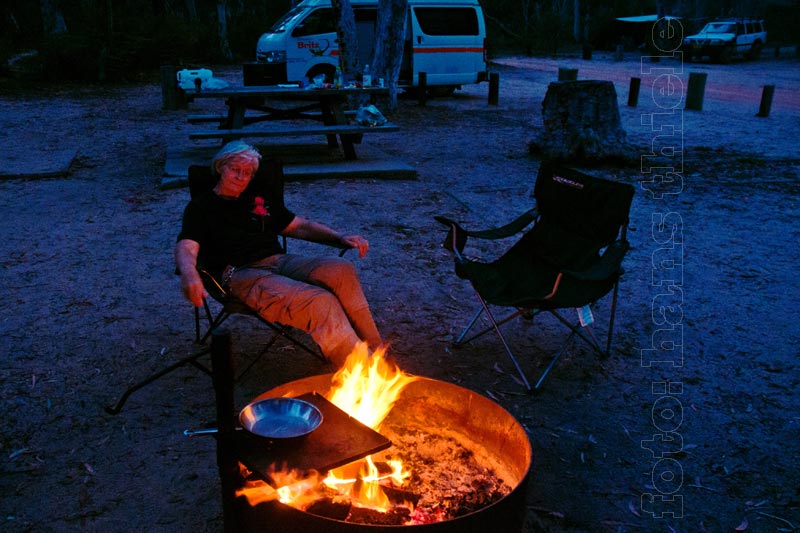 Wollemi NP, Camp Dunns Swamp