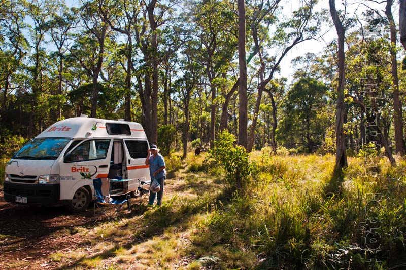 Barrington Tops NP: Devils Hole Campsite