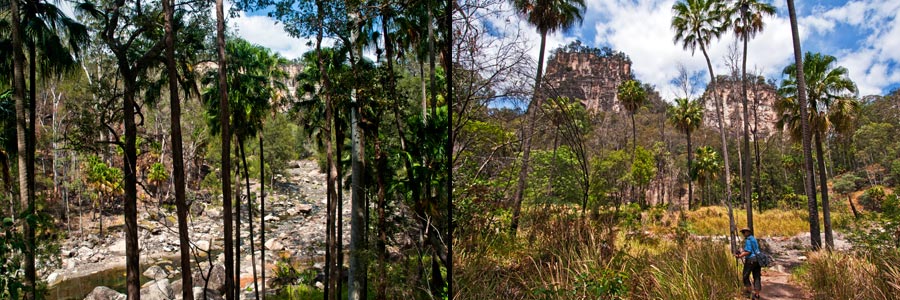 Carnarvon Gorge NP, Wanderung auf dem Hauptweg