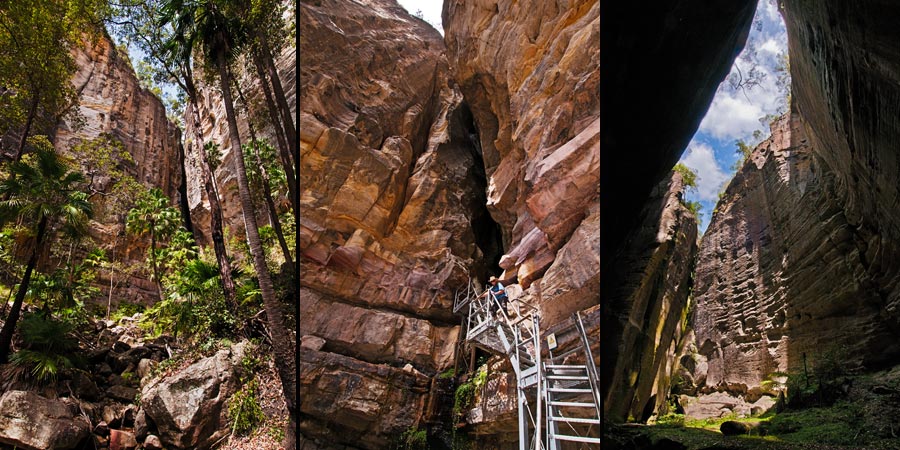 Carnarvon Gorge, Eingang zum Amphitheatre