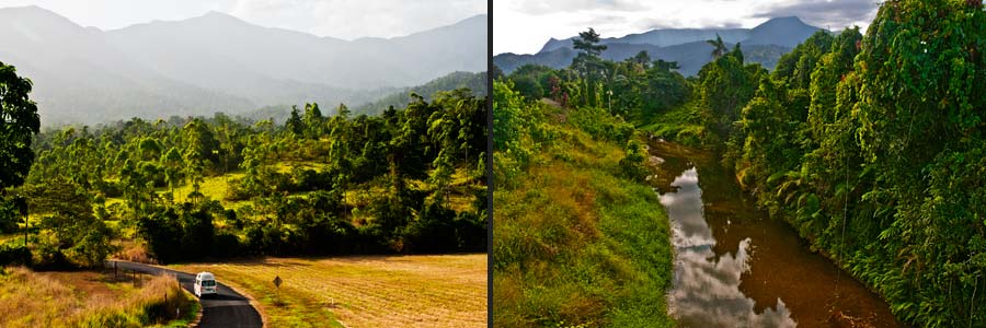 Rand des Regenwaldes am Woonoorooran NP