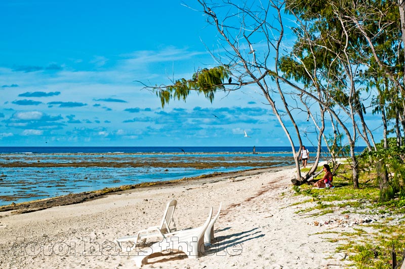 Lady Elliot Island, Strand
