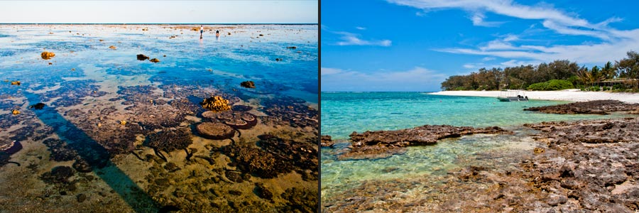 Lady Elliot Insel im Great Barrier Reef