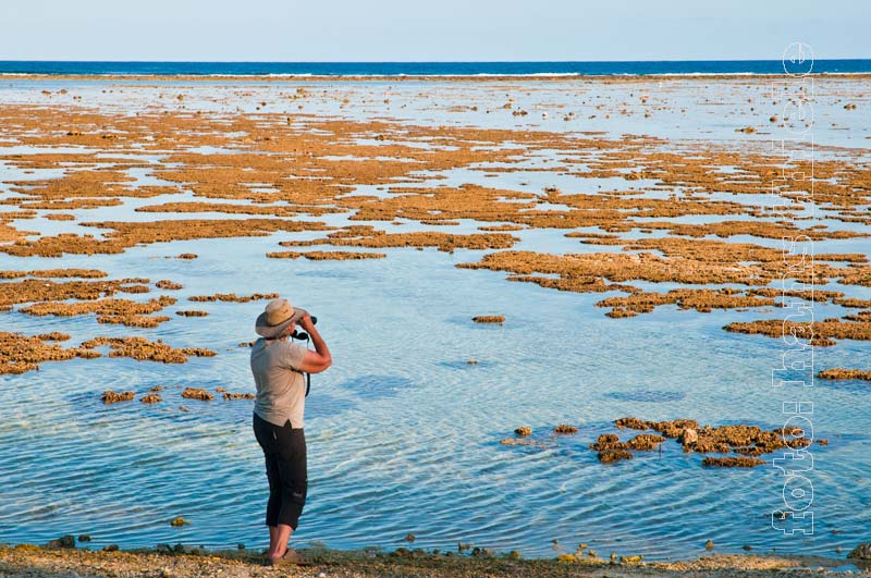 Lady Elliot Island, die südlichste Koralleninsel im Great Barrier Reef