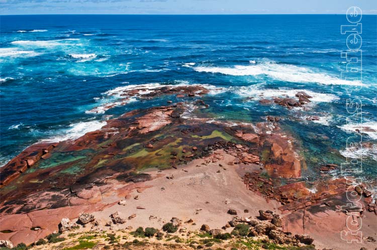 Point Labatt CP mit ruhenden Seelöwen aus der Vogelperspektive
