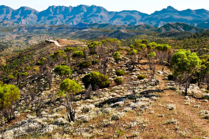 Flinders Ranges NP: die Heysen Range vom Bunyeroo Valley Lookout