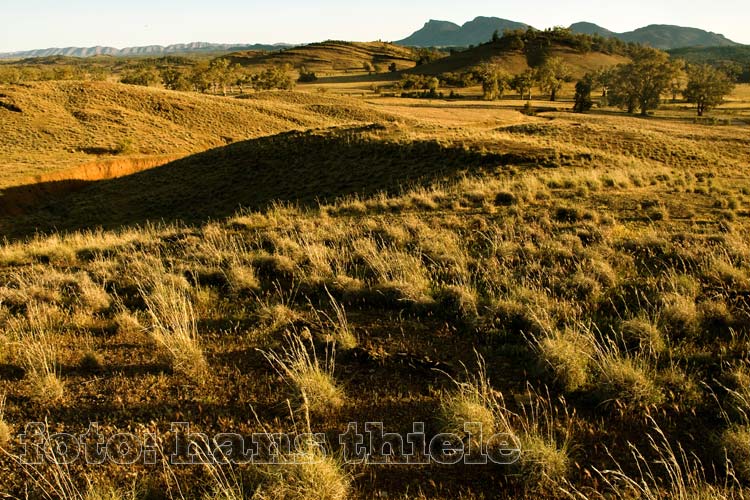 Im Vorland der Flinders Ranges