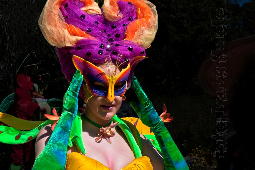 Wildflowers Festival im Kings Park, Perth