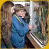 Aquaristik-Terraristik-AG