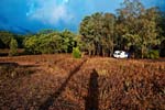 Camp Blackman im Warrumbungle NP