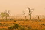 Sandsturm im Outback bei Wilcannia