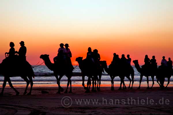 Broome: Kamel-Karavanen am Strand