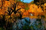 Edith Falls im Nitmiluk NP