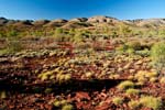 Macdonnell Ranges