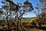 Cape Le Howe NP