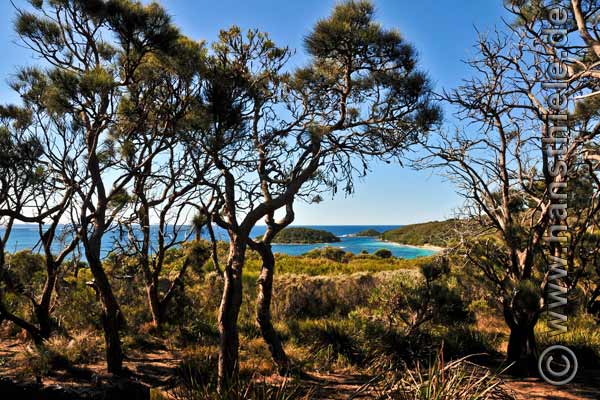 West Cape Howe NP: Campplatz an der Cosy Corner Beach