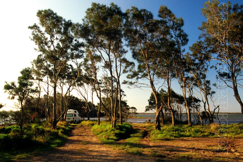 Green Point Picnic Area am Wallis Lake im Great Lakes NP