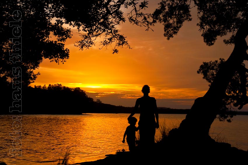 Abendstimmung am Myall Lake im  Great Lakes NP