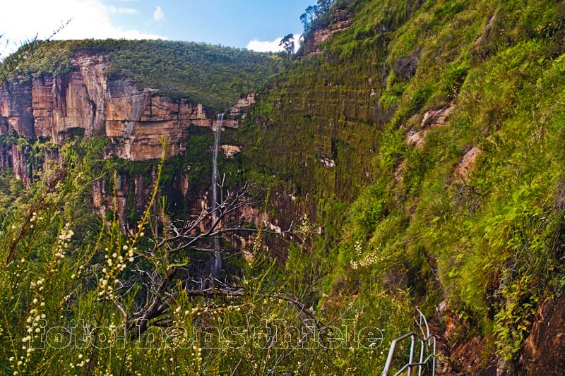 Blue Mountains NP,