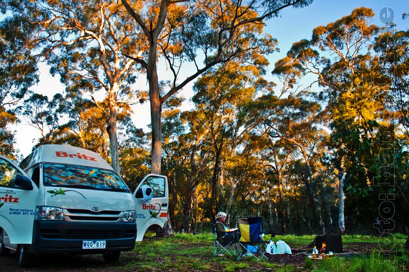 Coolah Tops NP, Camp The Barracks im Hochwald gelegen