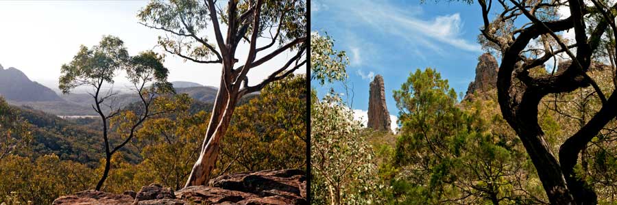 Wanderungen im Warrumbungle NP