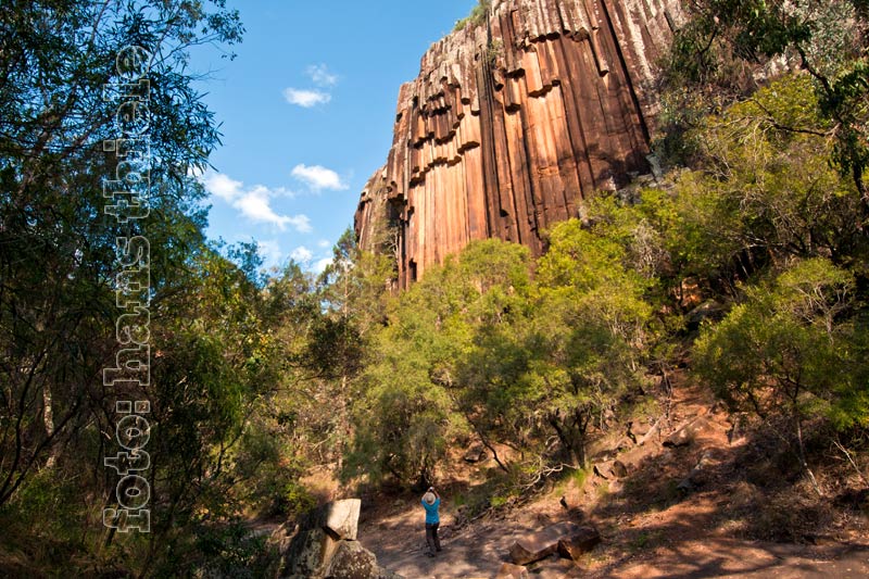 Säulenbasalt des Sawn Rock im Mt Kaputar National Park