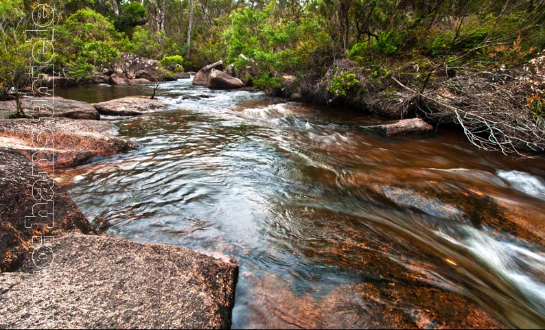 Gibraltar NP