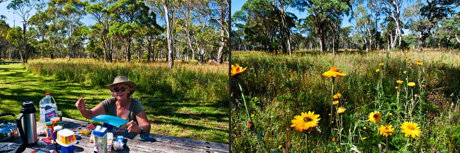 Picknickplatz an den Ebor Falls