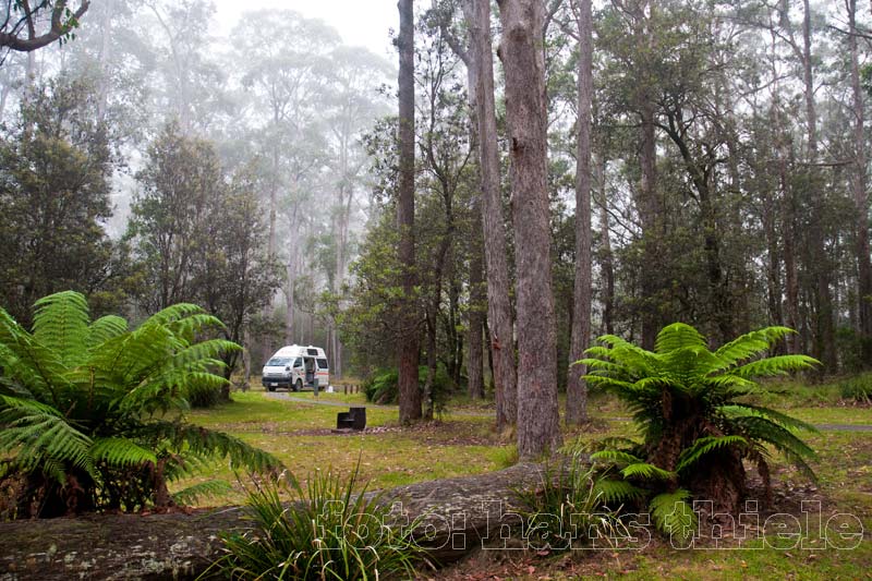 New England NP: Nebel in der Thungutti Camping Area