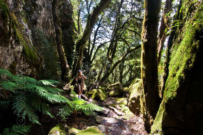 New England NP: Eagles Nest Track