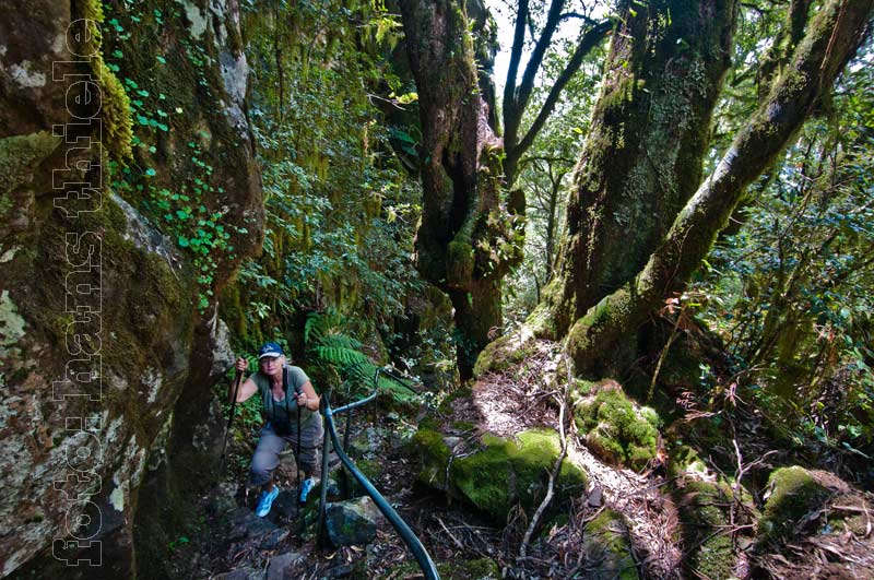 New England NP: Eagles Nest Track