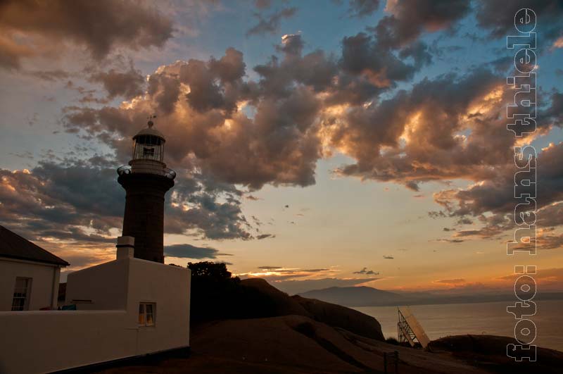 NSW, Montague Island, Barunguba