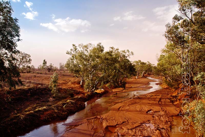 Outback bei Wilcannia nach dem Regen