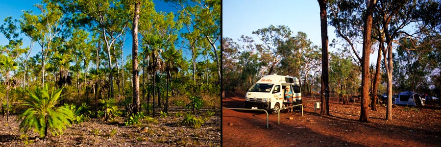 Litchfield National Park, Vegetation