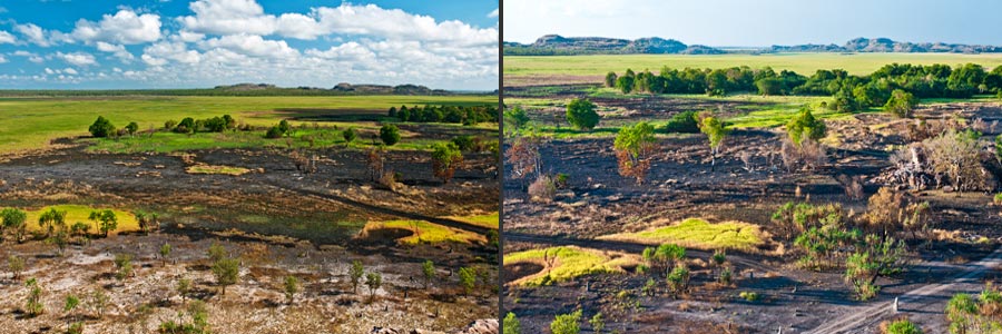 Rand der Floodplain bei Ubirr