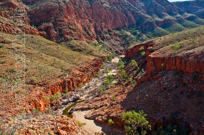 Ormiston Gorge, Aussicht vom Ghost Gum Walk