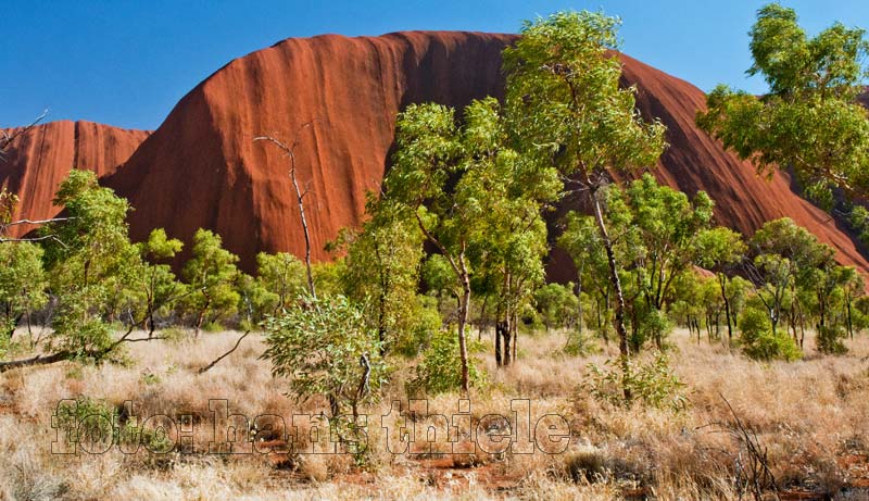 Uluru, früher Ayers Rock