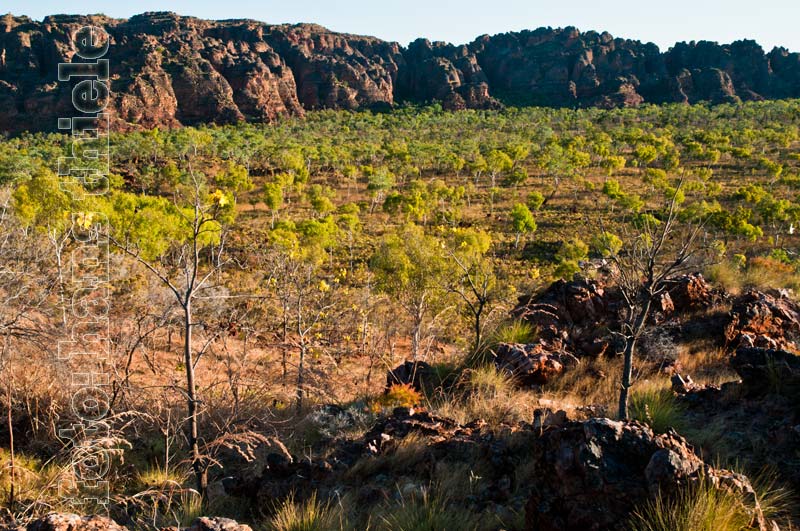 Keep River Nationalpark: Blick vom Lookout des Jarnem Walks