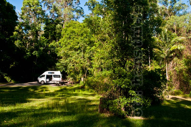 Border Ranges National Park, Camping im Sheepstation Creek Camp