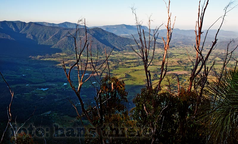 Border Ranges NP: der beeindruckende Blick in das Tweed Valley vom Pinnacle Lookout