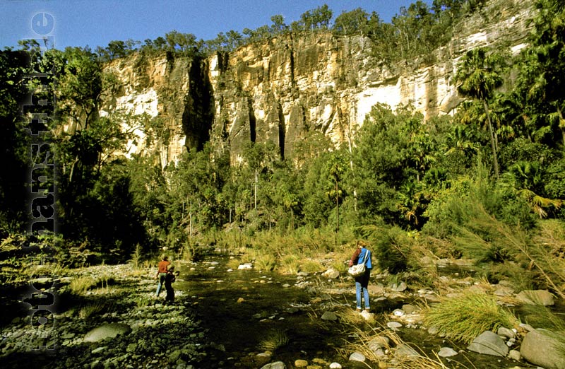 Carnarvon Gorge, Querung des Flusses