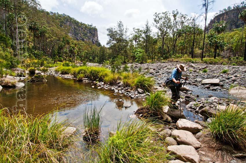 Carnarvon Gorge  National Park, Querung des Flusses