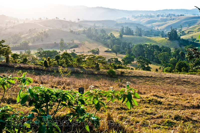 Atherton Tableland