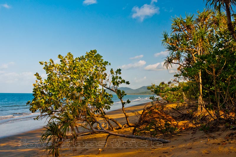 Bramston Beach, Urwald und Strand treffen hier aufeinander